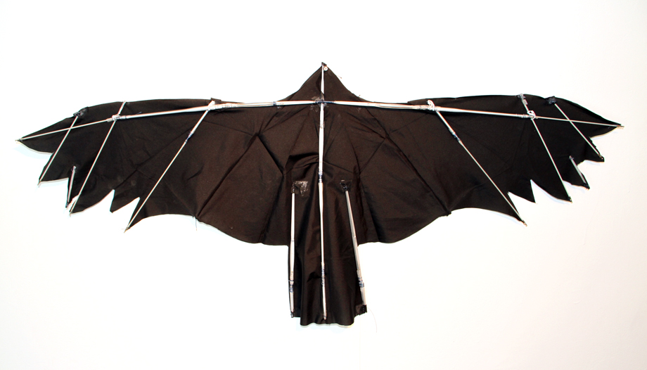 06. A.Maize crow kite (broken black umbrella)